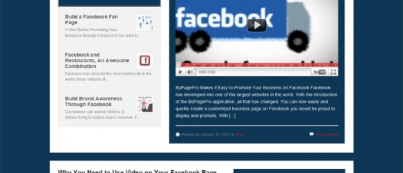 bizpagepro-reviews